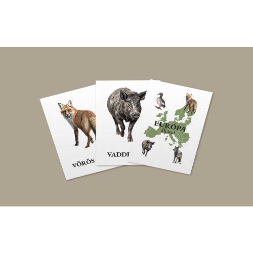 Európa állatai kártyacsomag + memóriakártyák