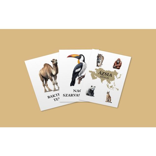Ázsia állatai kártyacsomag + memóriakártyák