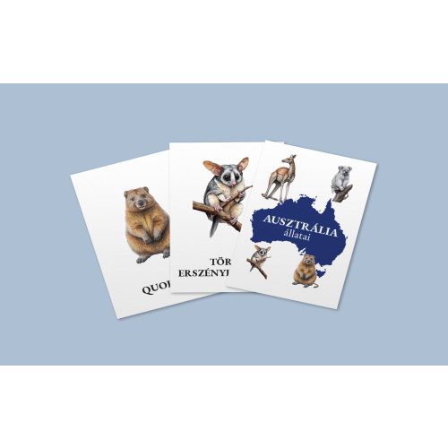 Ausztrália állatai kártyacsomag + memóriakártyák