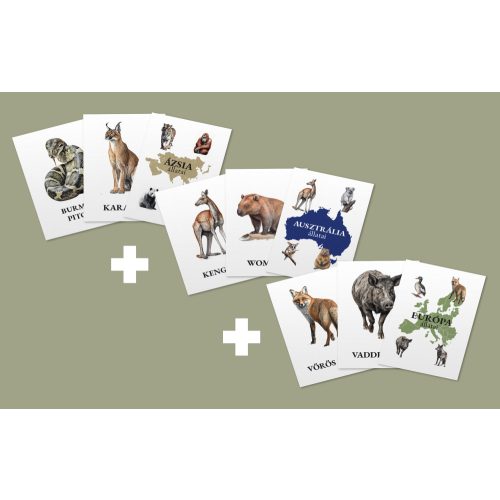 Földrészek állatai kártyacsomagok + memóriakártyák